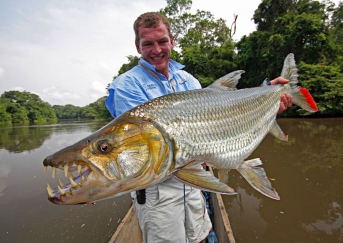 亚马逊河到底有多可怕没有桥梁,亚马逊河有多厉害为什么没有桥