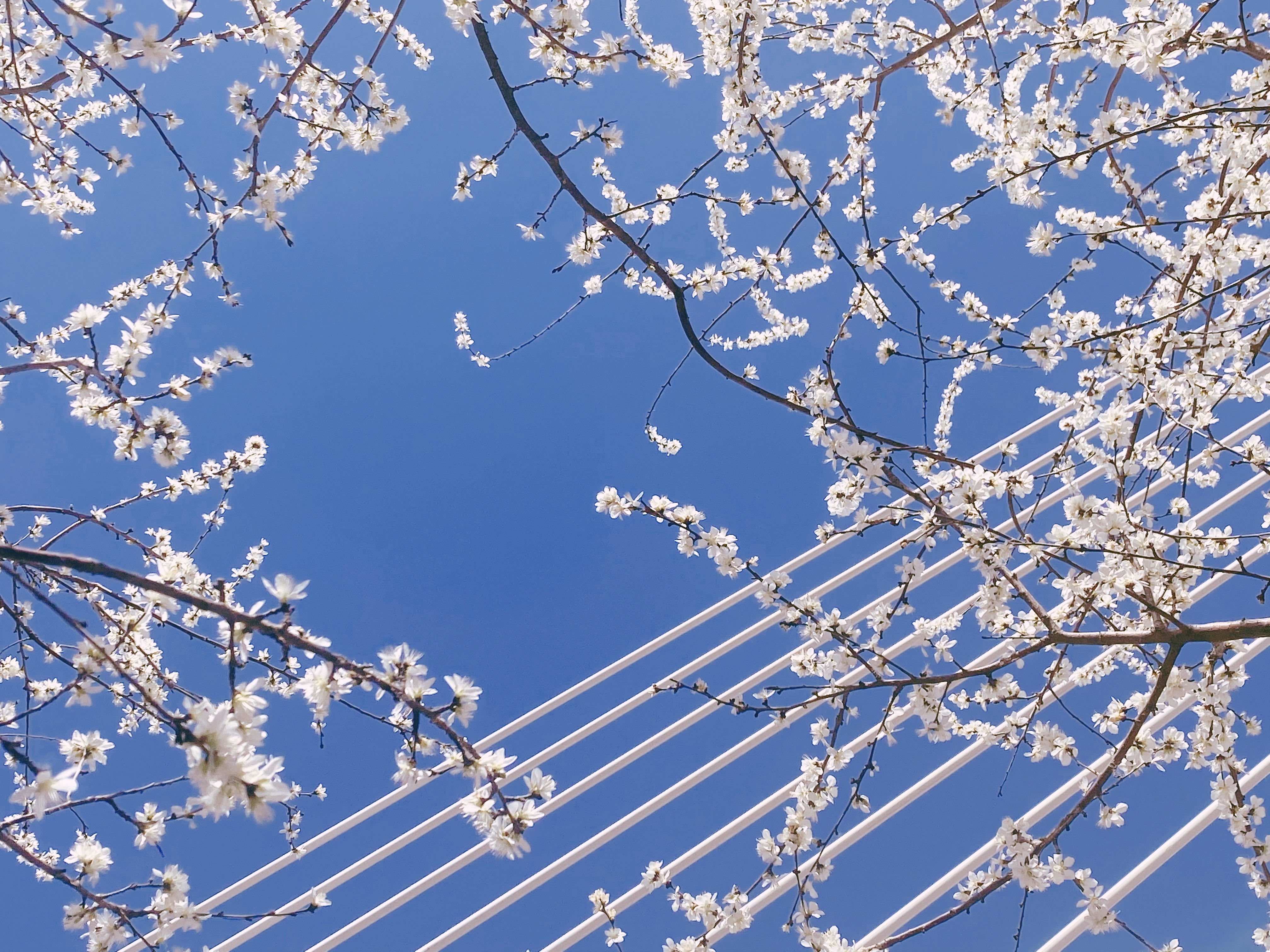 国际贸易中常见的货运方式及英文表达(I)