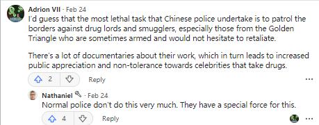 缇庣増鐭ヤ箮璀﹀療,鍥藉鐭ヤ箮璇勮涓浗璀﹀療