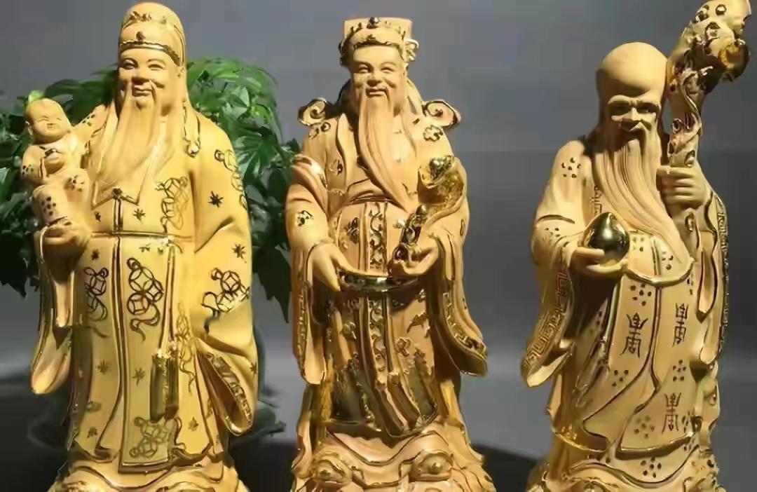 客厅大花盆栽树,100种家庭客厅盆栽树