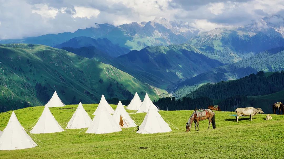那拉提空中草原雪景照片,大草原的壮丽雪景图
