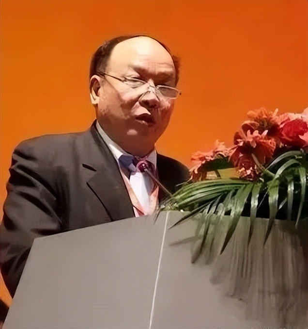 中国电子信息产业高管被查,武汉中原电子两任董事长同日被查