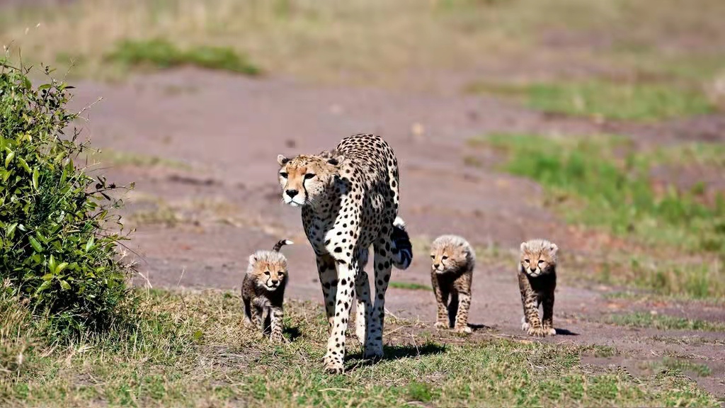 家长眼里的高中,家长眼中的漂亮的学校