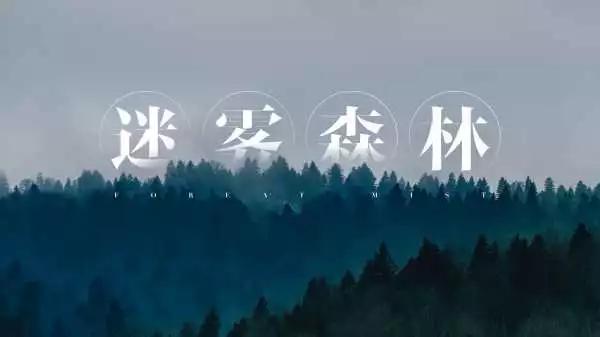 2022月历,小米22年发布了几款新机