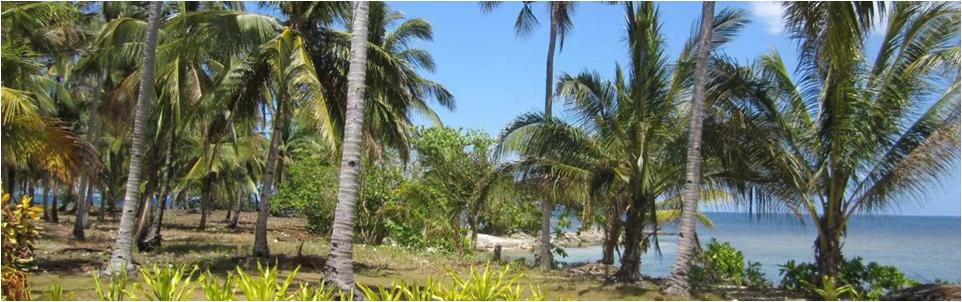 菲律宾海岛出售,菲律宾卡加延省海岛出售