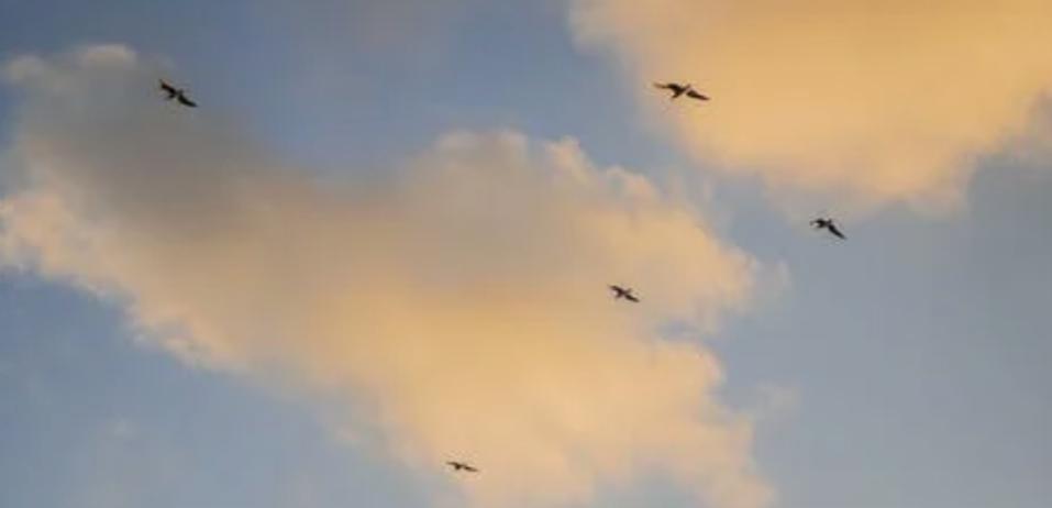 2021年江西南昌十大新闻公关事件