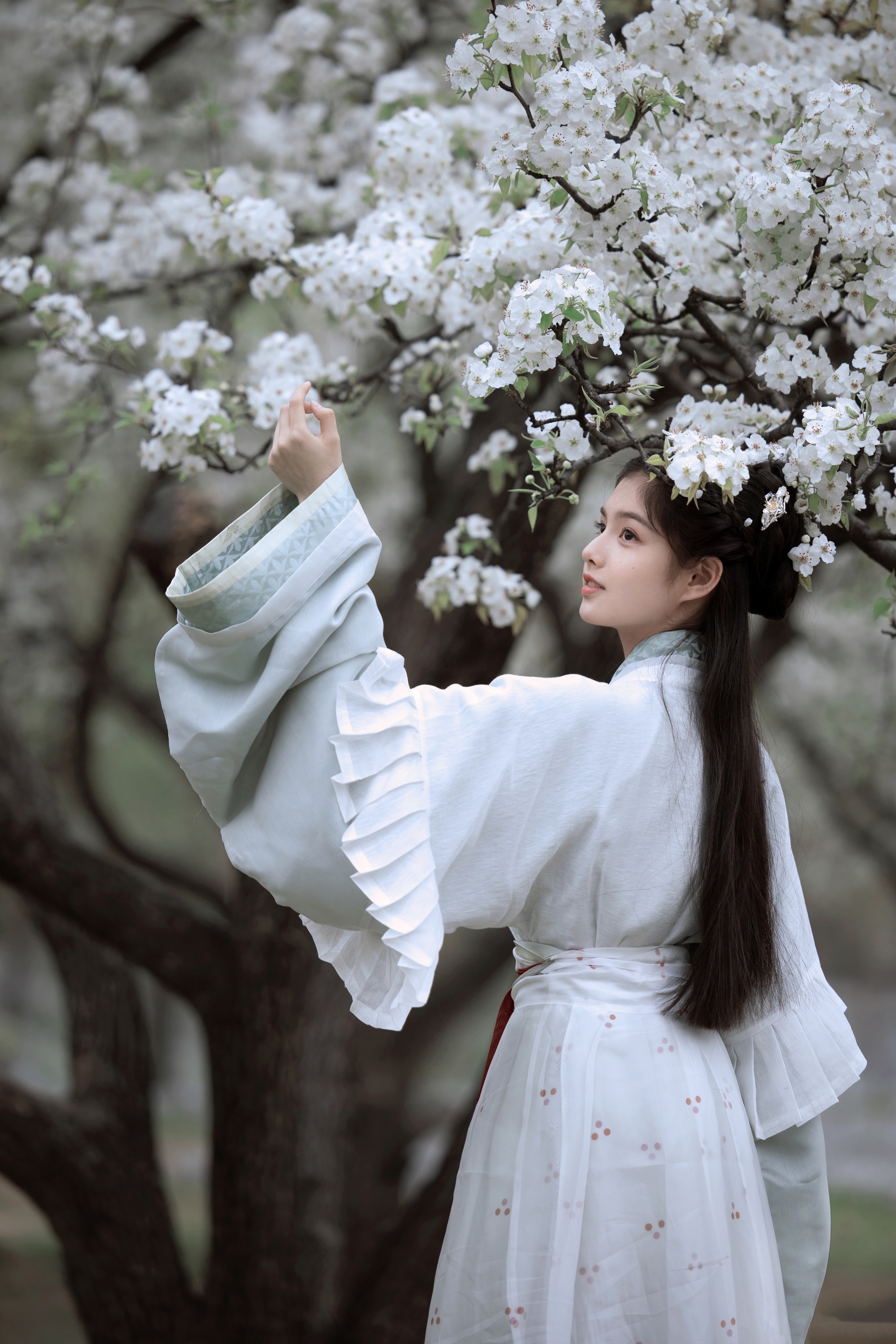 鍥介濡傜敾绯诲垪,鍥介姹夋湇鍐欑湡