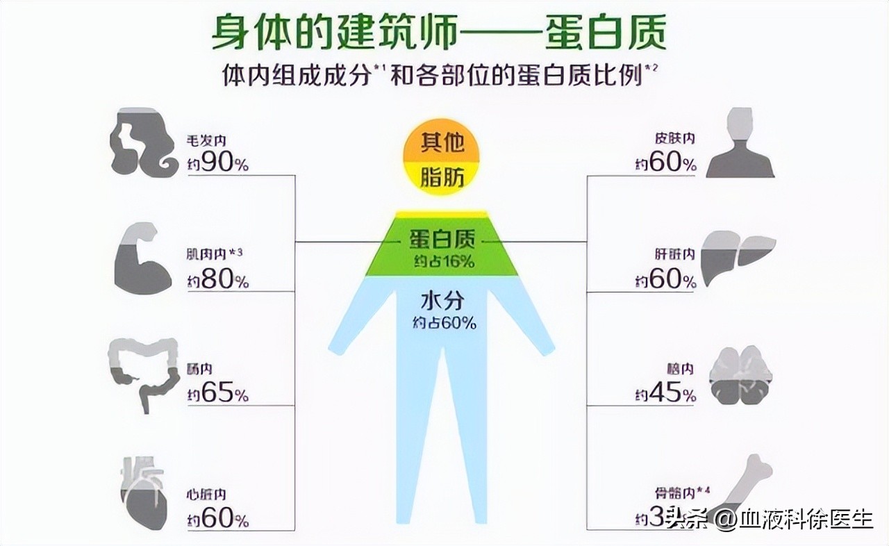 老年人不建议吃的零食,老年人不要太节约三种零食要多吃