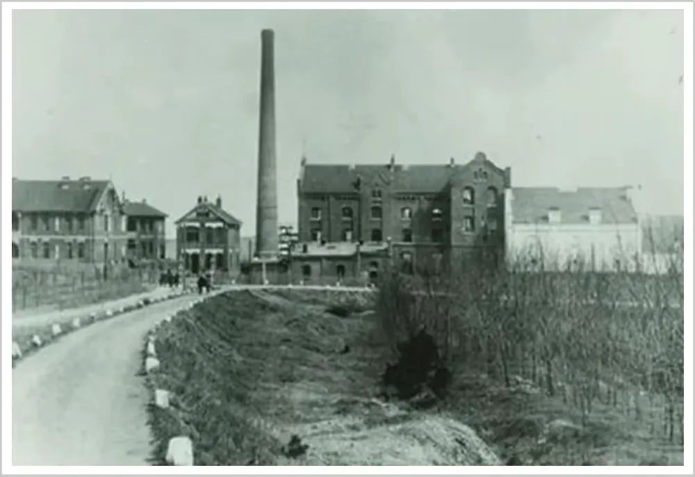 现在的啤酒品牌哪个是纯中国的,你喝的可能是假啤酒