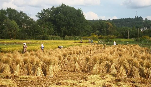 58岁阿姨生活感悟,63岁阿姨的感悟