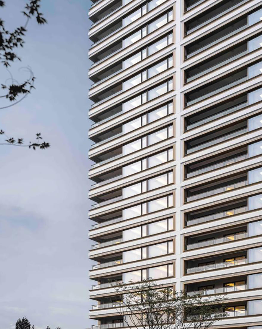 typology涓枃,typology