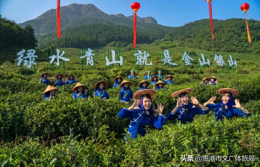 贵港一日游,贵港市区一夜游攻略