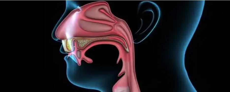 女子颈部长了肿瘤,女子颈部长了个肿瘤