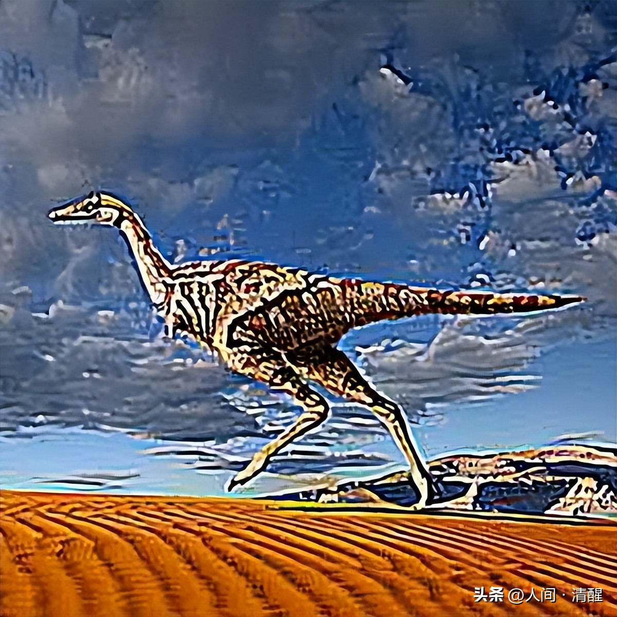 有羽毛的恐龙化石是什么样子的,有羽毛的恐龙的化石的样子