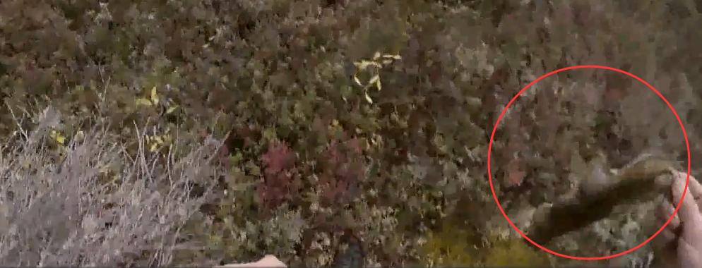 100天挑战荒野赢100万美元,荒野100天冠军