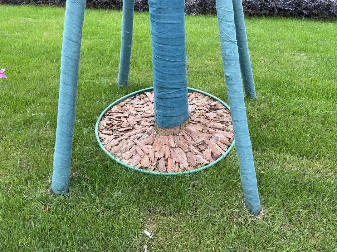 验房金地如期交付,金地2025年交房靠谱吗