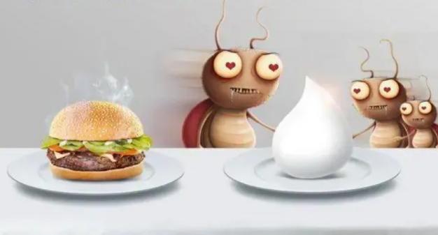 樟脑丸和卫生球能消灭蟑螂吗,家庭灭蟑螂的最佳方法樟脑丸