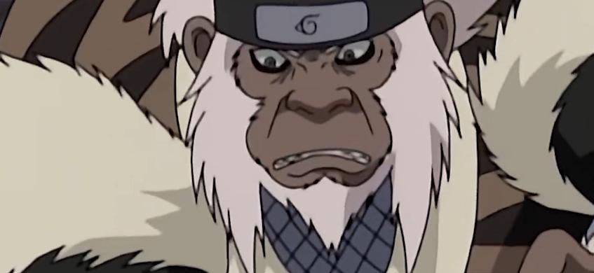 火影忍者影级人物谁能打尾兽,火影忍者前期影级实力排行