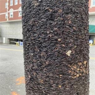 *光脱**犹太人女人衣服，集体*杀屠**，老照片再现变态的纳粹德国！