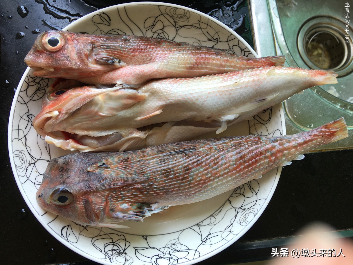 海南什么海鲜鱼便宜又好吃,海南美食海鲜海鱼