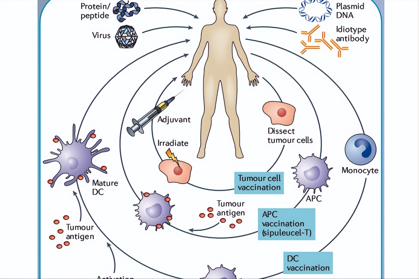 骨折之后除了治疗，饮食搭配更重要，骨折的人饮食牢记3个要点