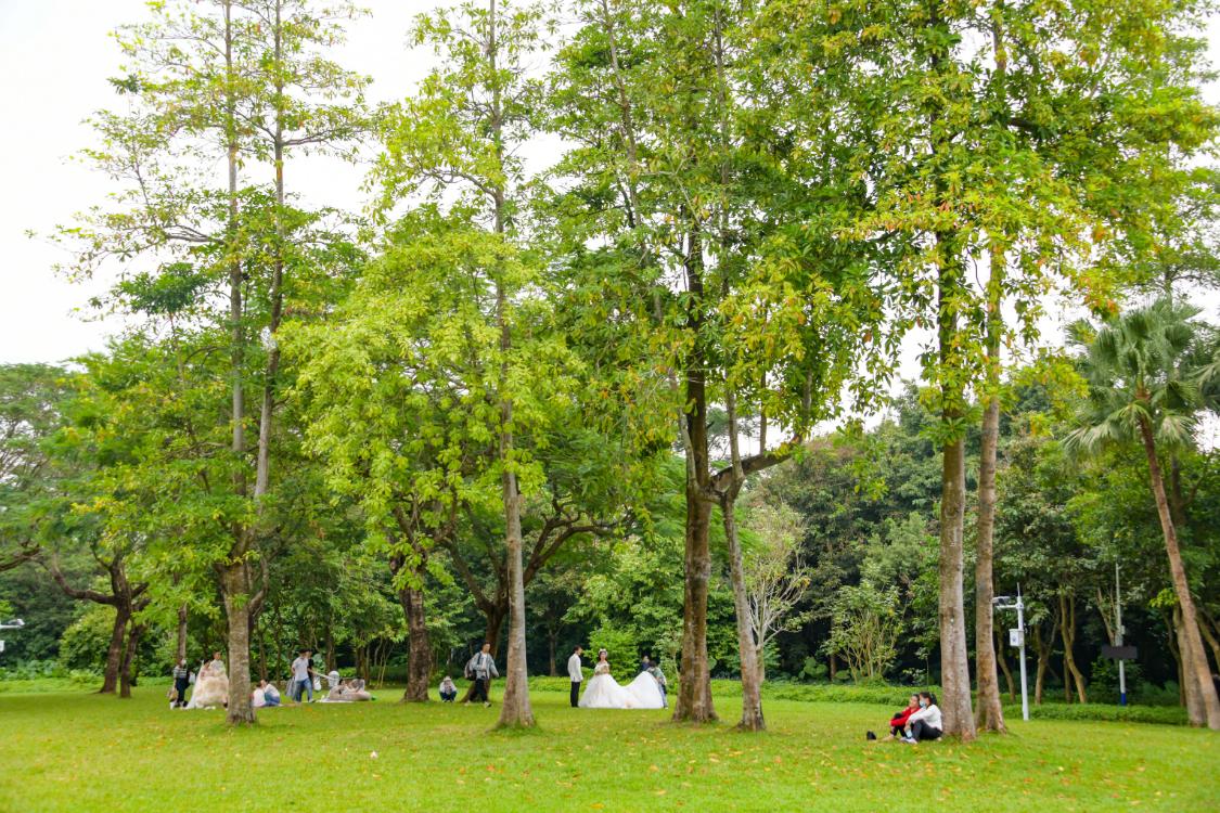 深圳东湖公园冬天游玩攻略,东湖公园打卡景点