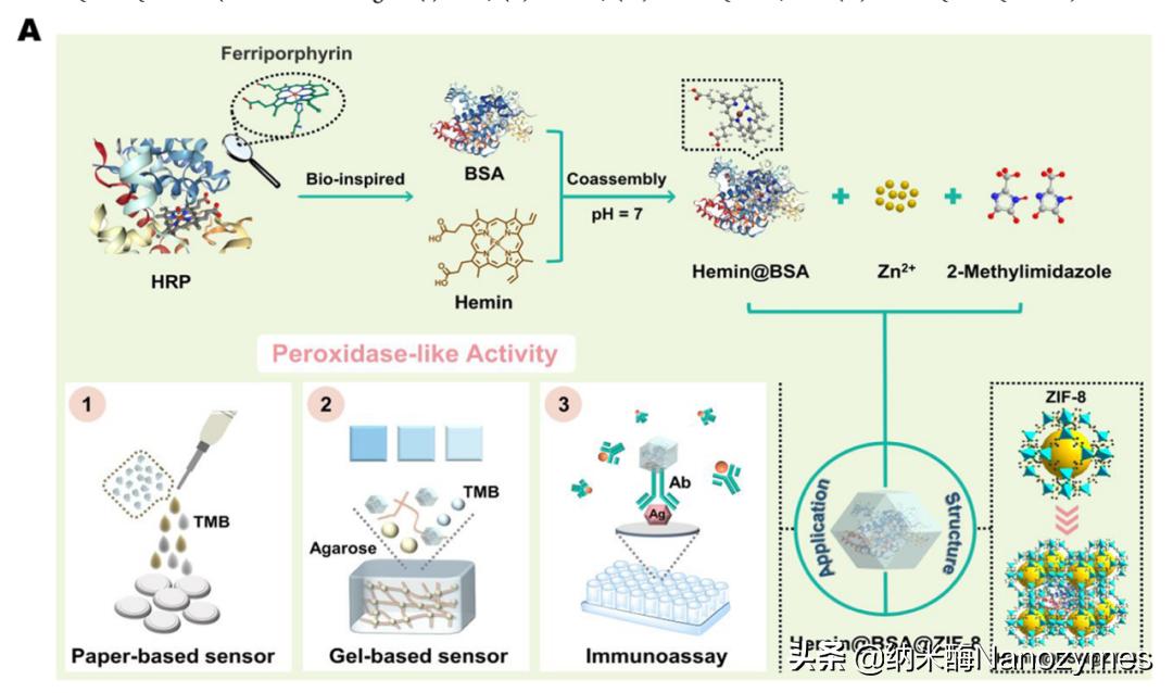 Anal.Chem.|基于金属-有机框架限制效应的类过氧化物酶仿生纳米酶