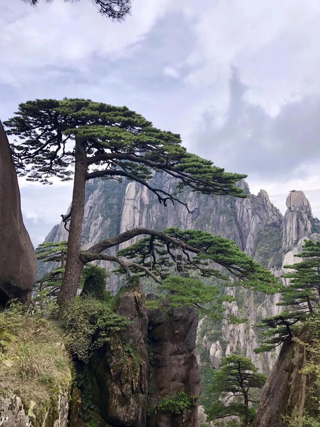 高考状元休宁,休宁十九位状元的名字