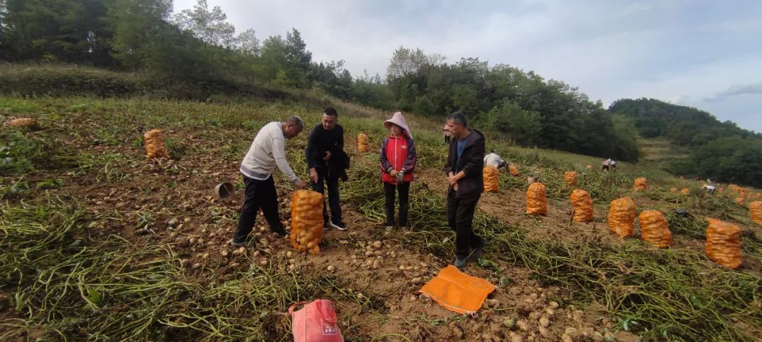 何坝镇铁鼓村,西和县何坝镇铁鼓村