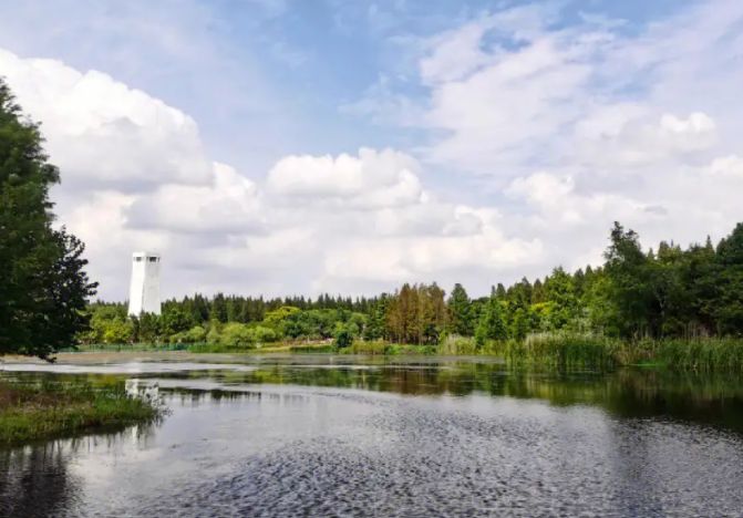 上海东平国家森林公园攻略一日游,上海崇明岛东平森林公园游览