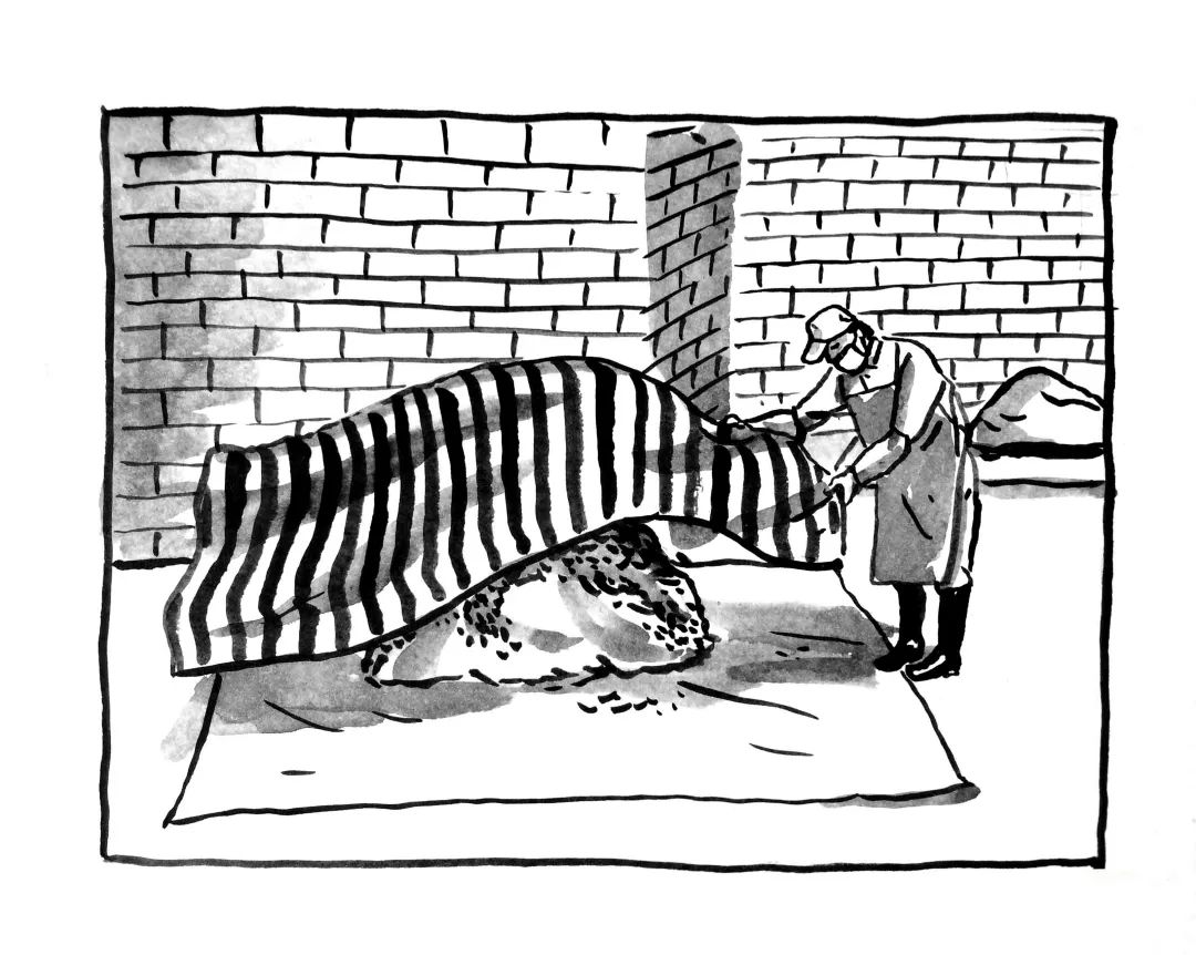 无糖减油脂的茶,什么茶消脂肪最好喝一点