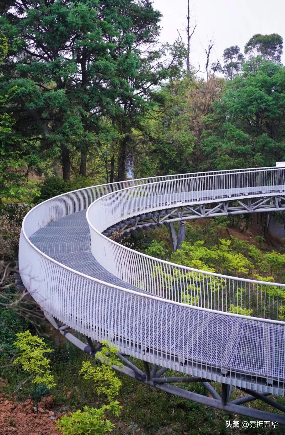 哇晒昆明|最爱为运动花钱的昆明人，有啥花样玩法？