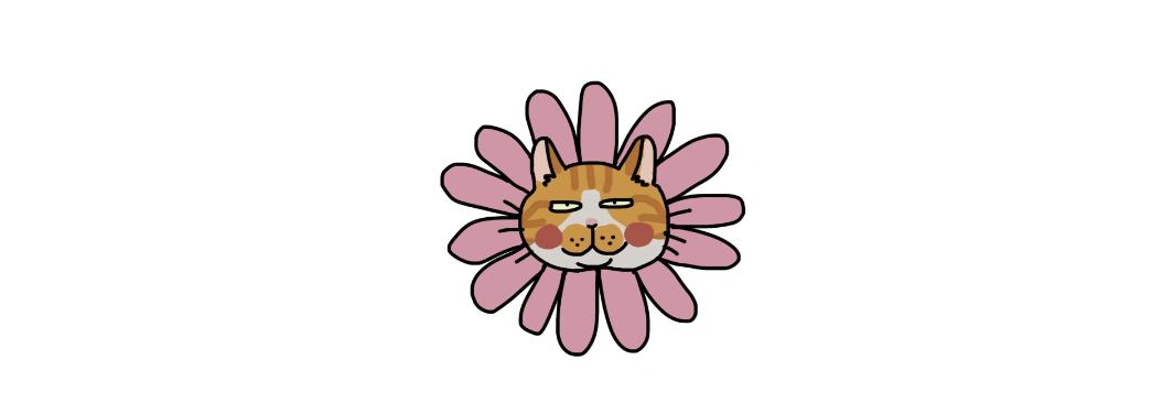 猫猫便血过后拉不出来了,猫猫便血是感染弓形虫了吗