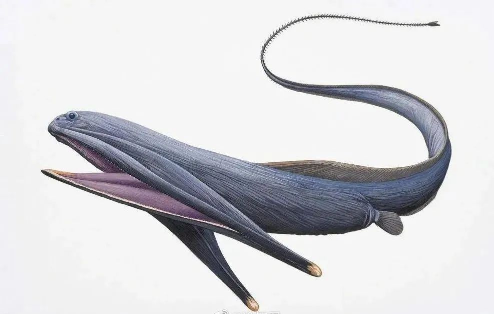 中国以前的足球有多厉害,趣知识科普