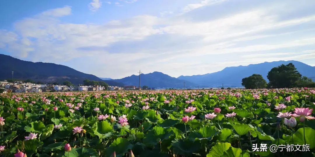 宁都是个好地方完整版,宁都是个好地方是谁说的