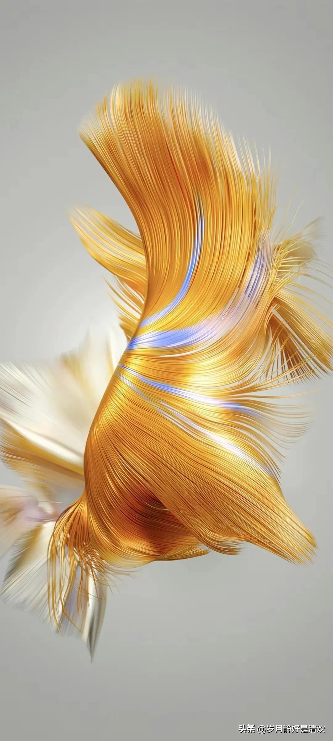 一样的家长群,不一样的结局