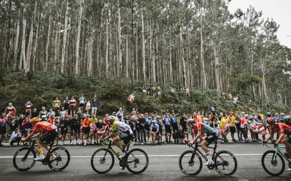 环法自行车赛亚当耶茨,亚当耶茨环法s14采访