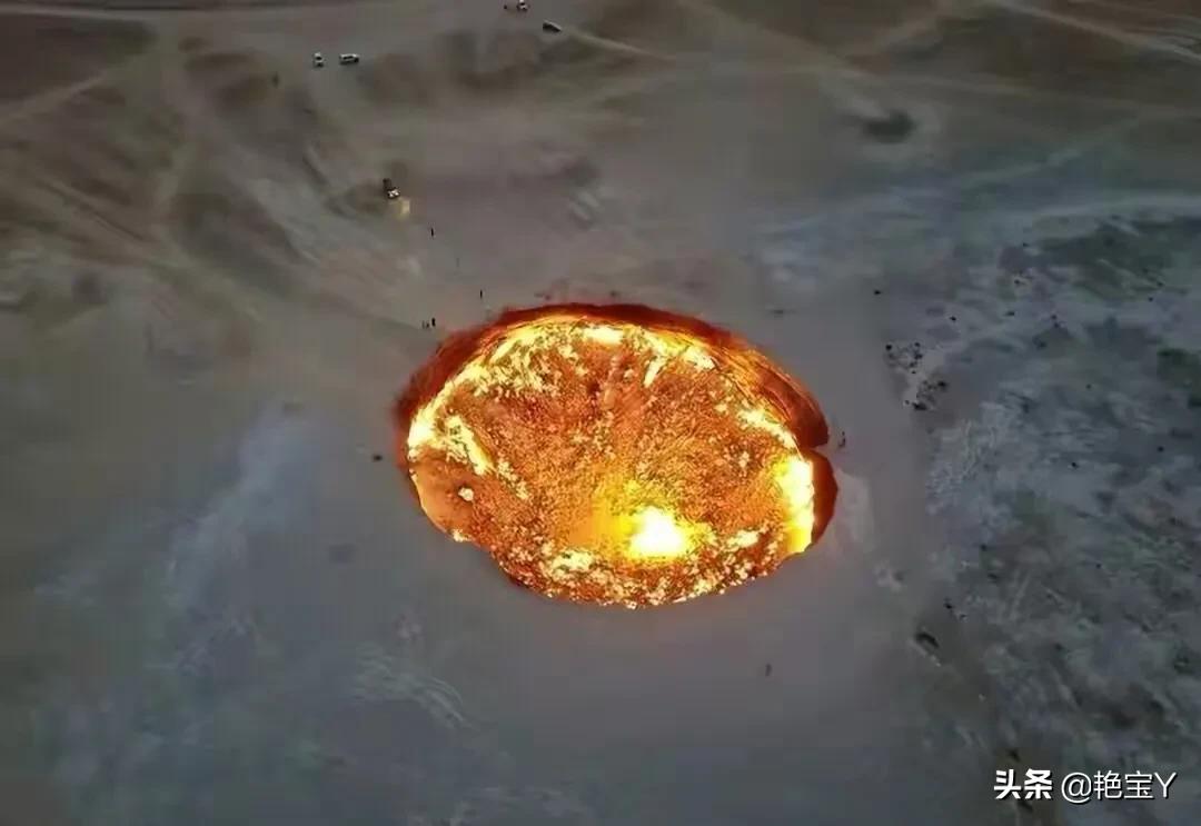 水蛭图像,15张活久见的动物图片