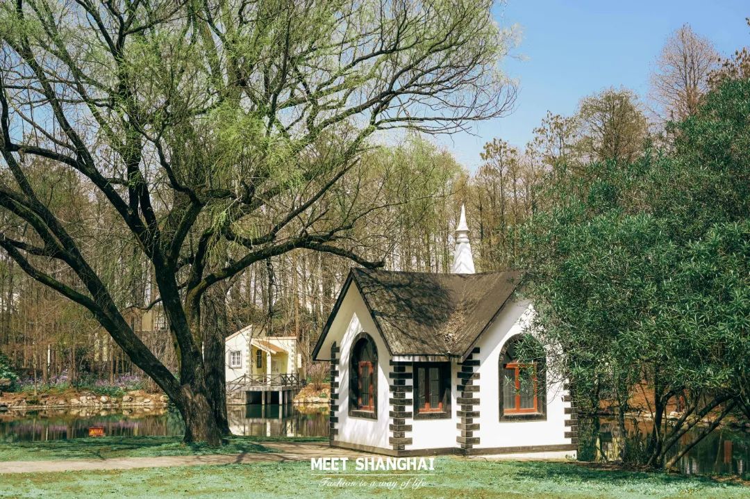 实用全上海532家公园攻略速速收藏,上海攻略必去的公园