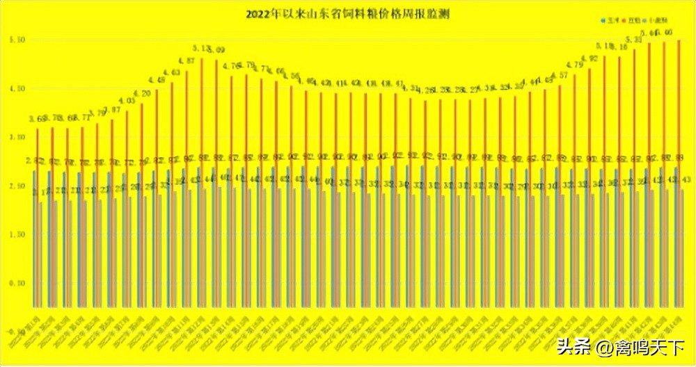 第45周山东省畜产品市场行情分析