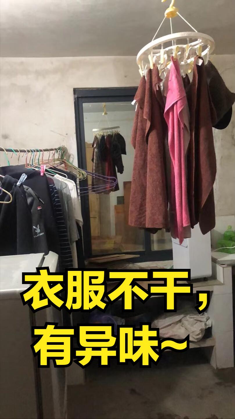 最好用最实惠的小家电推荐,实用性强的小家电你会选择哪一款