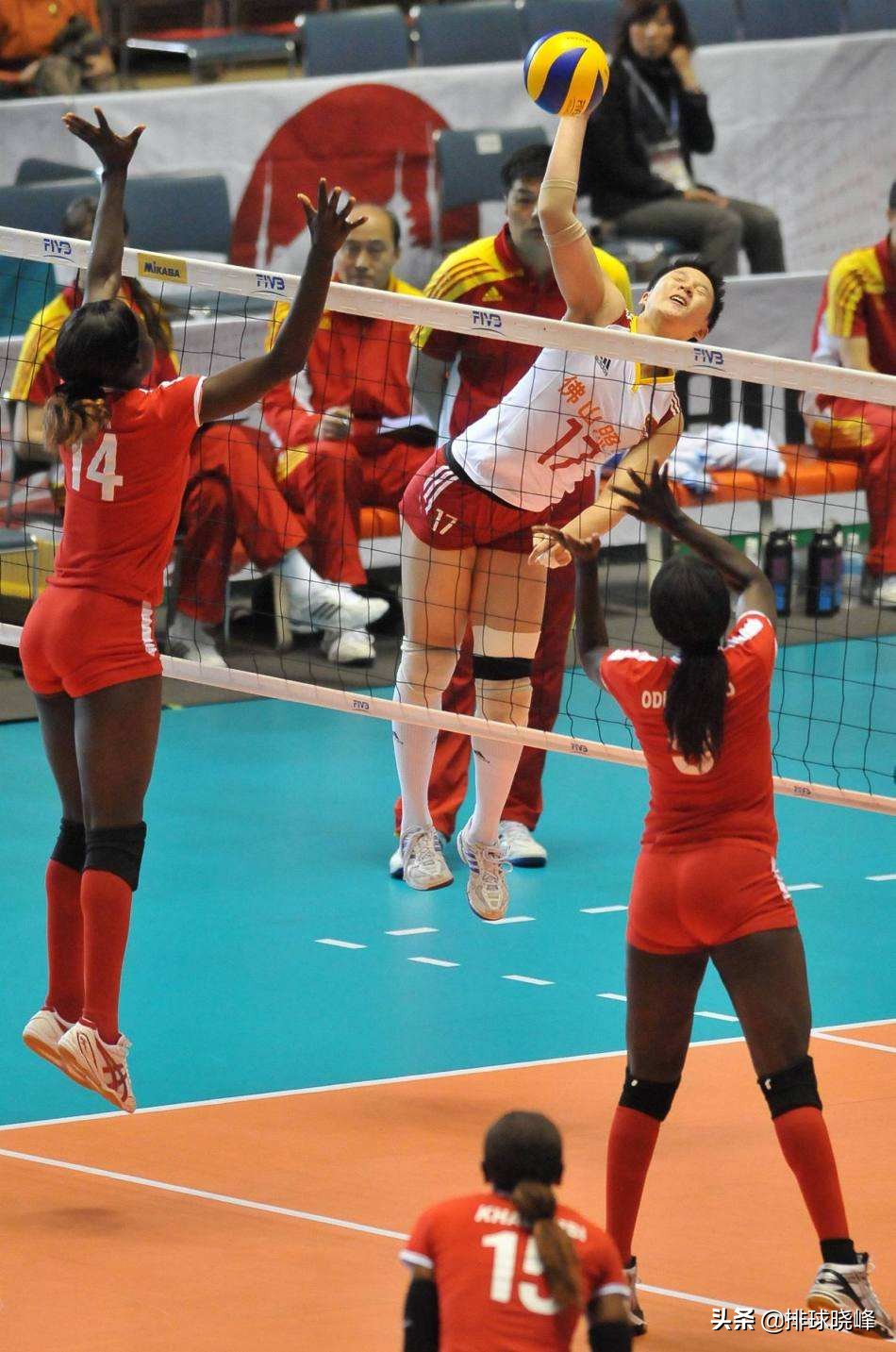 中国女排历届队员名单表,中国女排历届排名第几