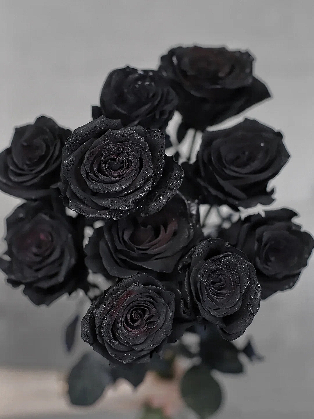 花艺教程花材打理知识,花艺教程常用花材及叶材有哪些