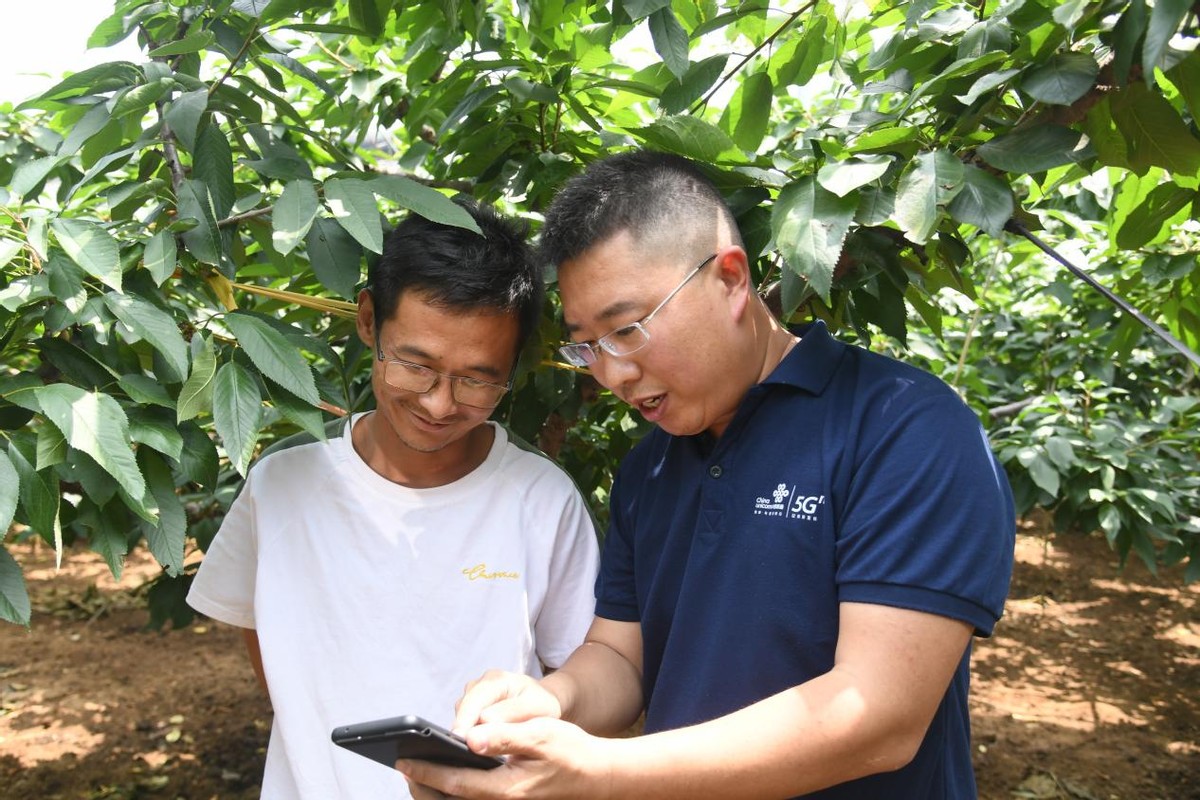 潍坊联通定点帮扶临朐县黄山村的“数字乡村”成长记