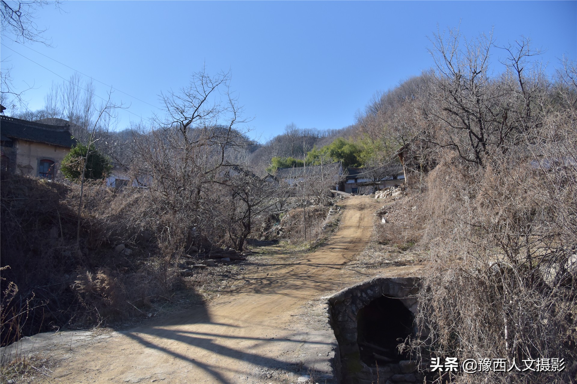 孤山坟墓葬在哪里好,孤山上的坟墓