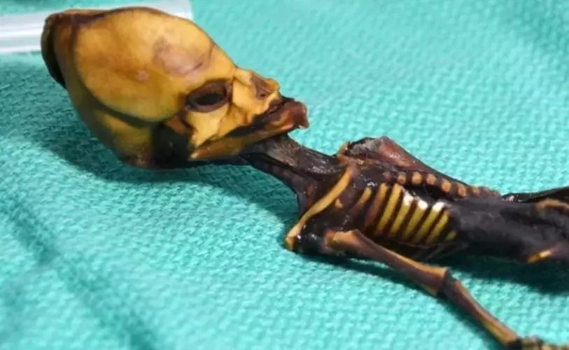 外星人真的隐藏在我们中间吗,外星人藏在银河系吗