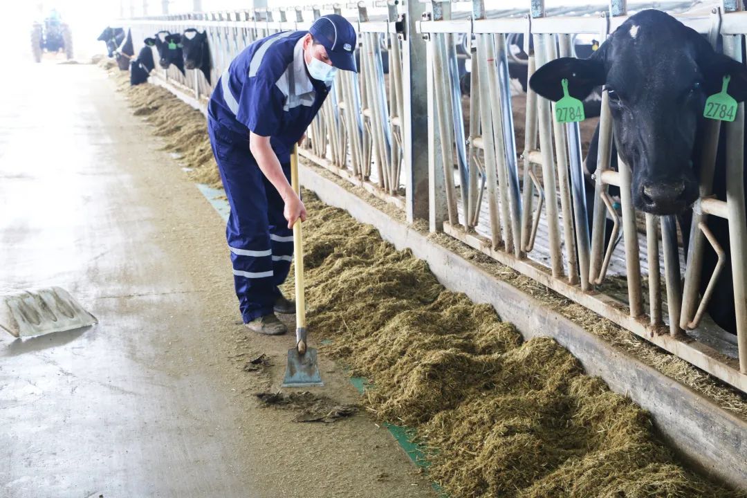 君乐宝威县乐源君享,君乐宝农场纪录片