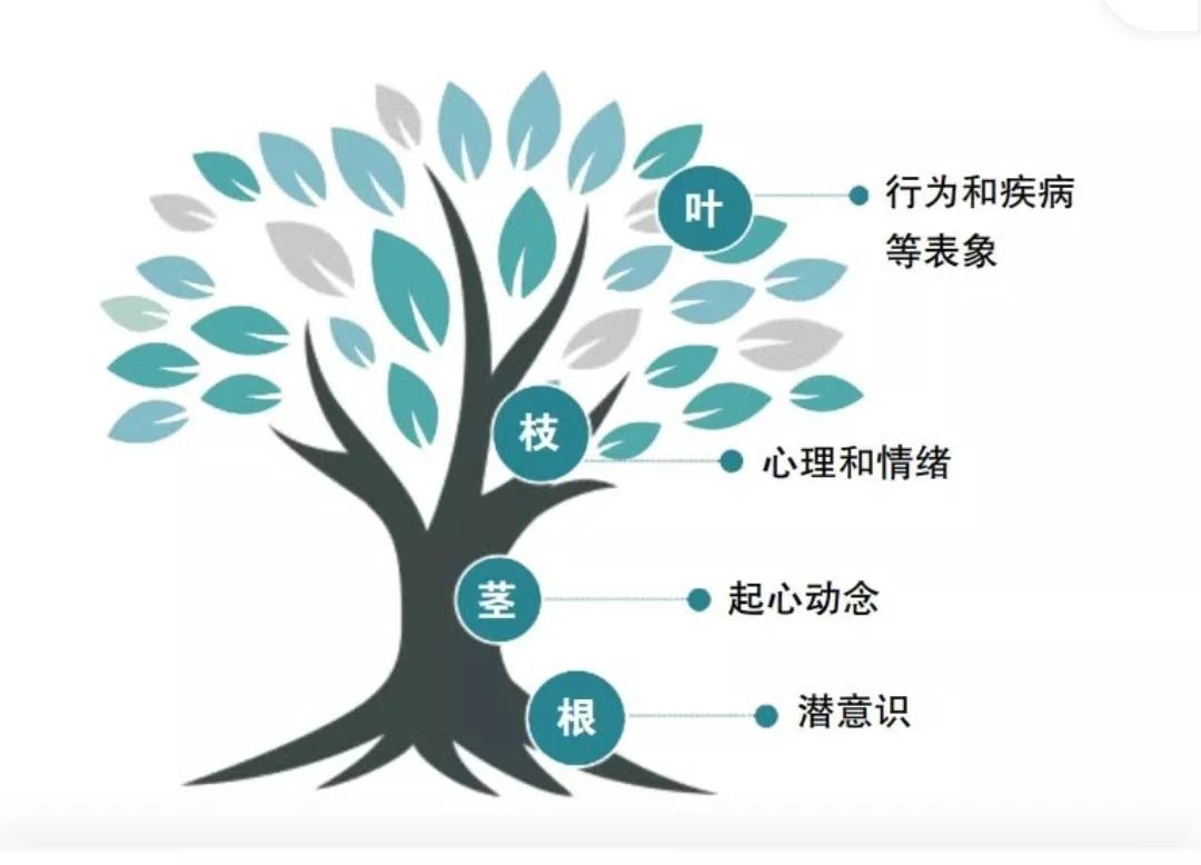 书评《让爱回家》：如何读懂孩子，才不会因“爱”而“伤害”孩子