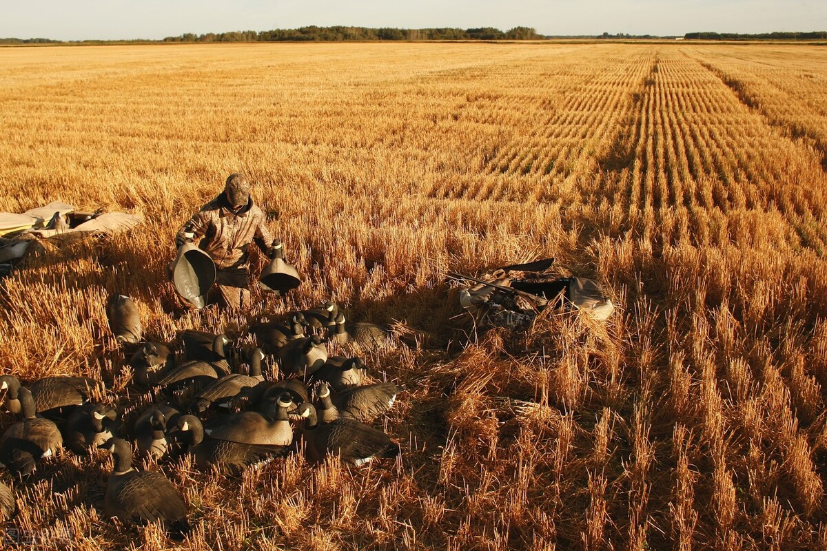 早年丧大儿中年丧丈夫，如今孙子精神异常，姚姑姑的一生命比纸薄