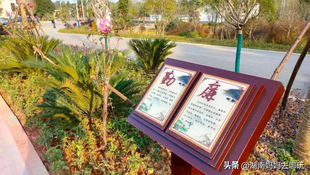 长沙近郊一日自驾游攻略,长沙大观园旅游攻略